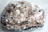 Мурманит минерал Хибин