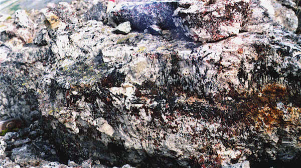 Фрагмент пегматитовой жилы (стенка разведочной канавы, 3х1 м.)