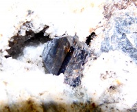 Лоренцинит минерал Хибин