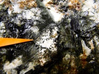 Паракелдышит минерал Хибин